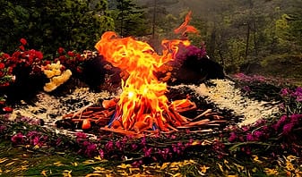 Los 4 Elementos como Maestros: Sabiduría Natural Personal